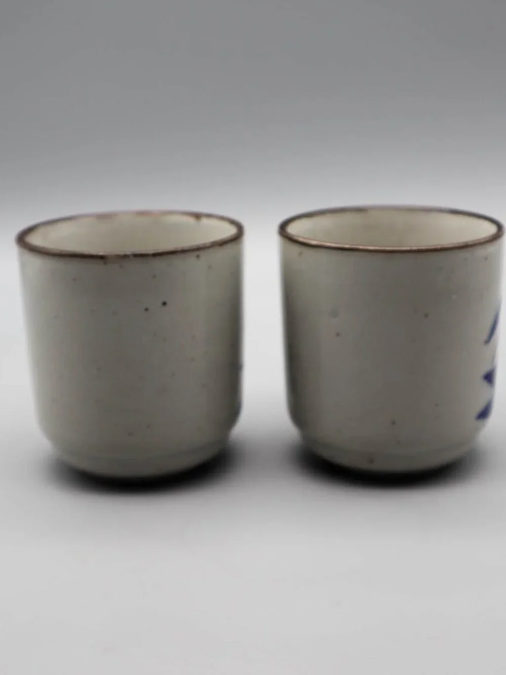 2 Japanese Pottery Yunomi Tea Cups Sake Set Speckled Blue Floral Botanical